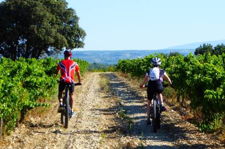 Bédoin et les contreforts du Ventoux : Balade accompagnée à vélo