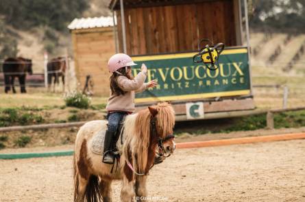 Le Palis horseriding centre