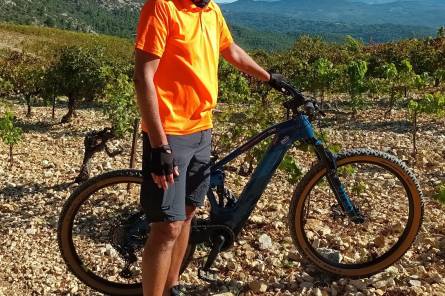 Gigondas, Sablet y Séguret son pueblos ubicados al pie de las magníficas Dentelles de Montmirail: Paseo con guía en bicicleta
