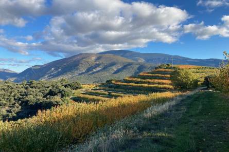 Balade dans les vergers au pied du Mont Ventoux - L'Atelier d'Hippolyte