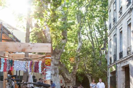 Urban stroll in Avignon: 'Avignon on foot, from the essentials to the hidden treasures