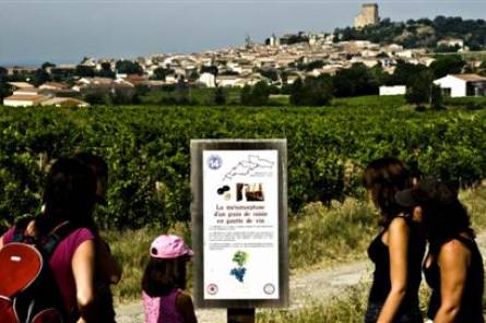 Uitstap naar het hart van de wijngaarden van Châteauneuf-du-Pape