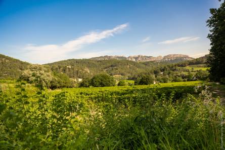 Visite en autonomie sur les pas des Bernardins