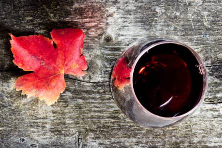 École des Vins workshop - Rhône Valley AOC and Corsican food pairings