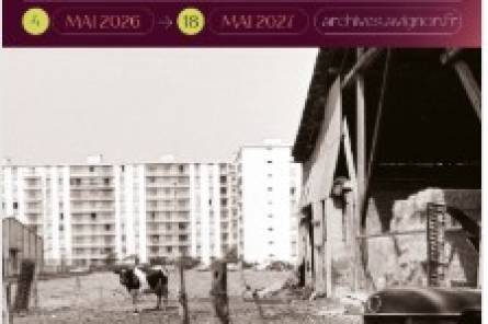 Contrast : Avignon through two centuries of photography