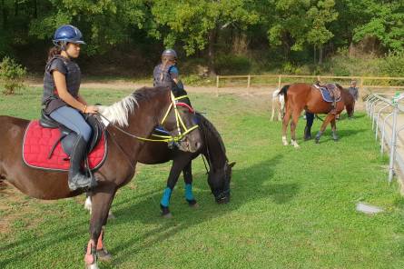 Les Ecuries du Luberon - Ecole d’Equitation -  Loisirs - Balades