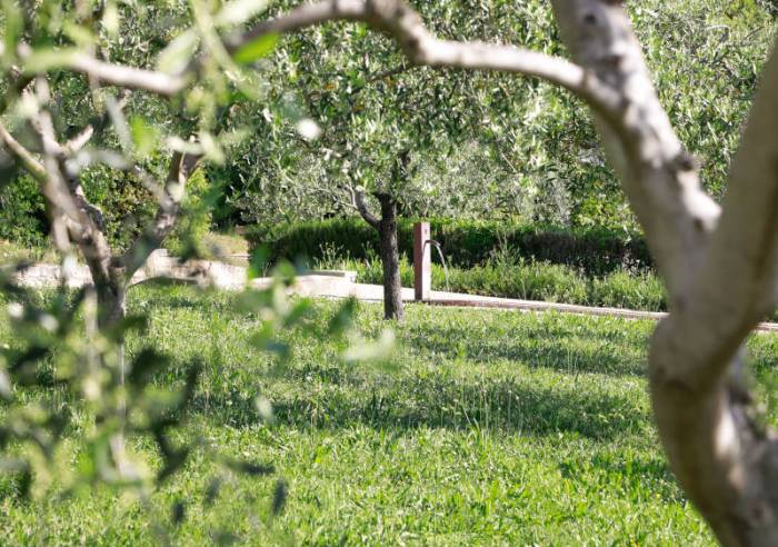 Le Jardin des 9 Damoiselles - Visites, monuments, Musées en Provence